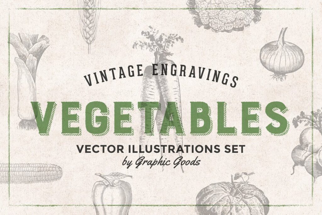75个矢量化的复古雕刻蔬菜手绘餐饮品牌装饰图案Vegetables Vintage Illustration Set