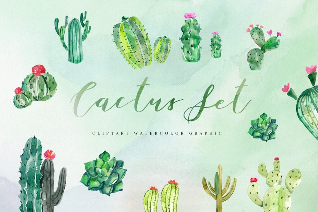 粉红色的绿叶水彩花卉装饰图案下载15 Watercolor Cactus Set Illustration