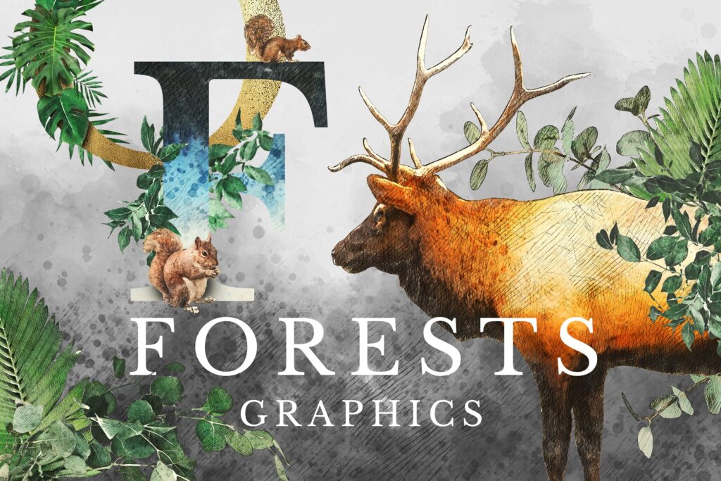 自然和森林主题元素装饰图案创意设计Forest Illustrations Graphics Kit