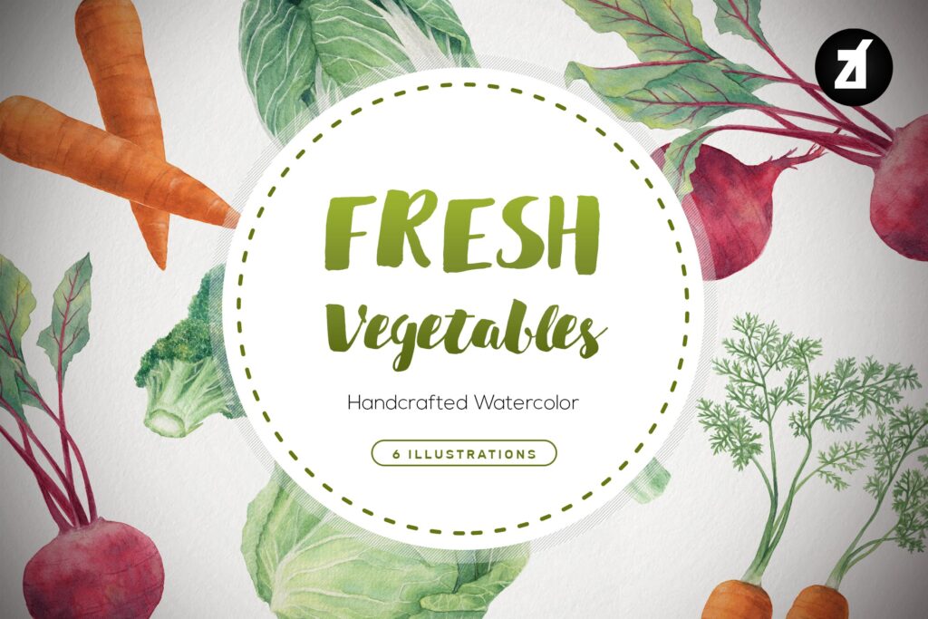 新鲜蔬菜手绘水彩插图装饰图案元素Fresh vegetables handdraw watercolor illustrations插图