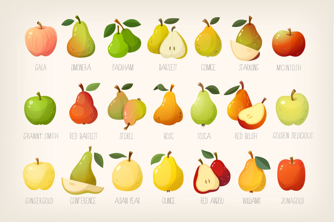 精致水果系列图标源文件下载Pears and apples with names