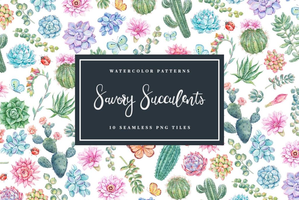 华丽多肉主题元素图案手绘水彩图形Savory Succulents Seamless Patterns