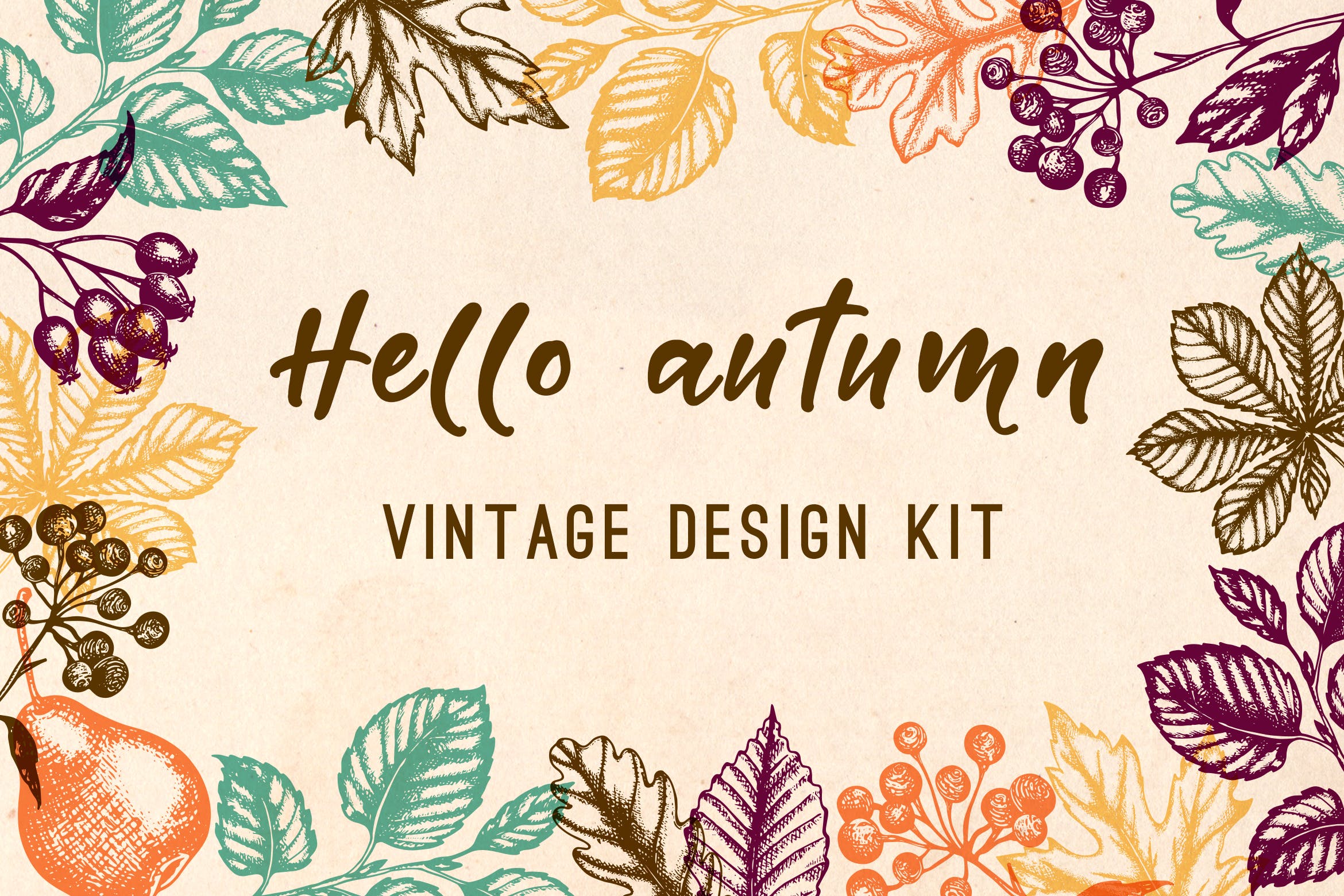 水果手绘杂点风格装饰图案素材下载Vintage Autumn Design Kit