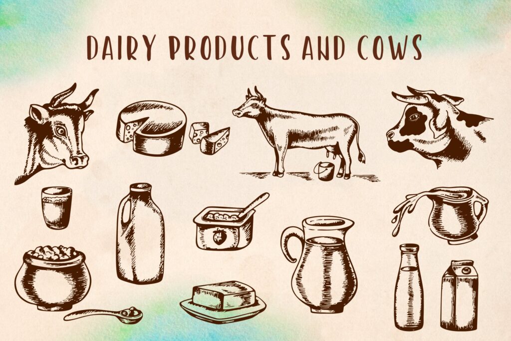 手工绘制的矢量乳制品复古风格的奶牛合集Vintage Dairy Products and Cows
