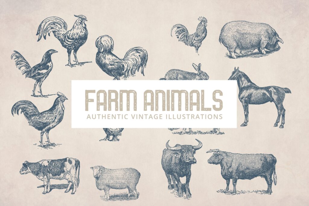 农场动物插图复古手绘装饰图案下载Vintage Farm Animals Illustrations