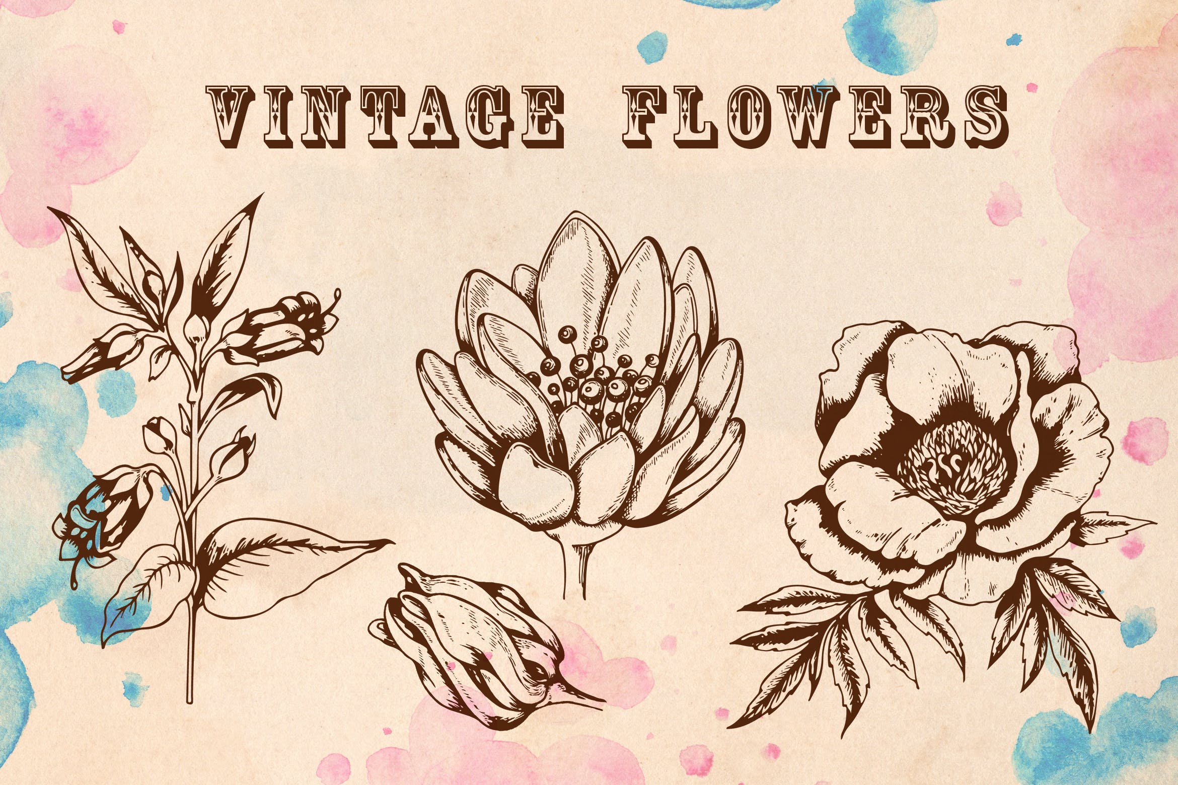 手绘矢量花卉复古风格图案纹理下载Vintage Flowers