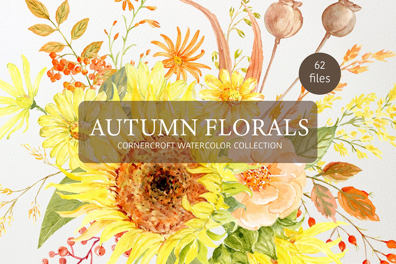 水彩秋季花卉收藏Watercolor Autumn Florals Collection