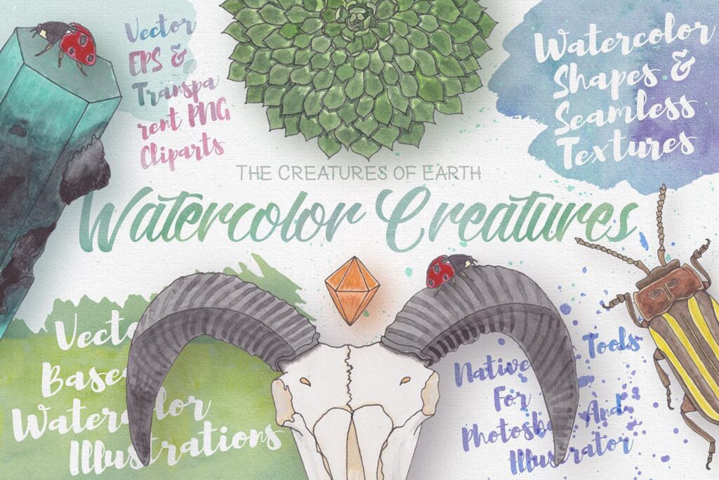大自然生物创意图案手绘水彩装饰元素下载Watercolor Creatures vol. 1