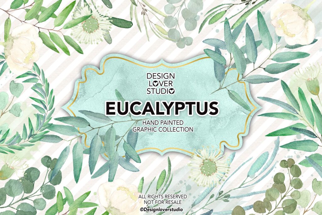 花卉相关主题元素装饰图案花纹Watercolor Eucalyptus leaves