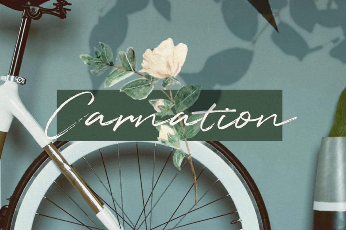 文艺范高端品牌奢侈品PPT幻灯片模板Carnation Powerpoint插图11