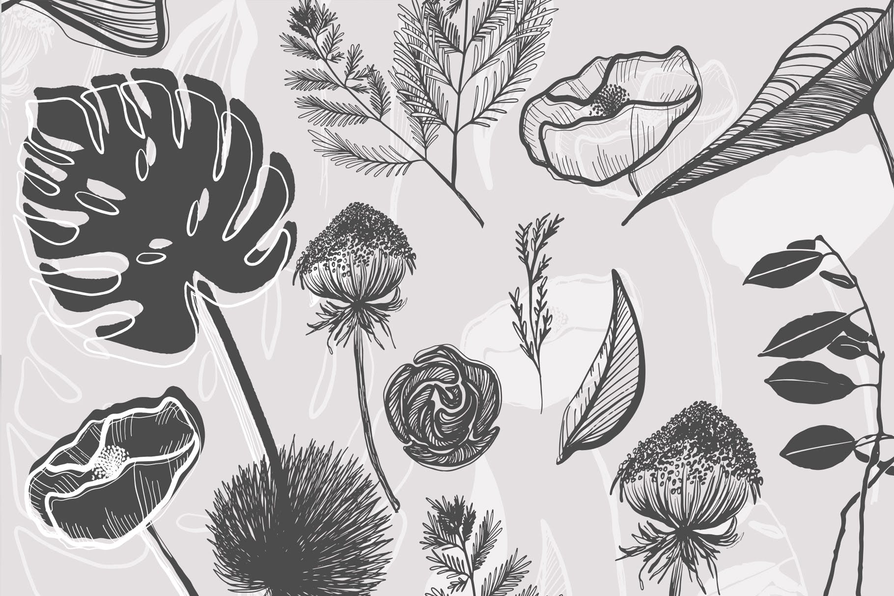 手绘植物灵感矢量插图集图案纹理Botanical Garden Illustrated Graphics插图1