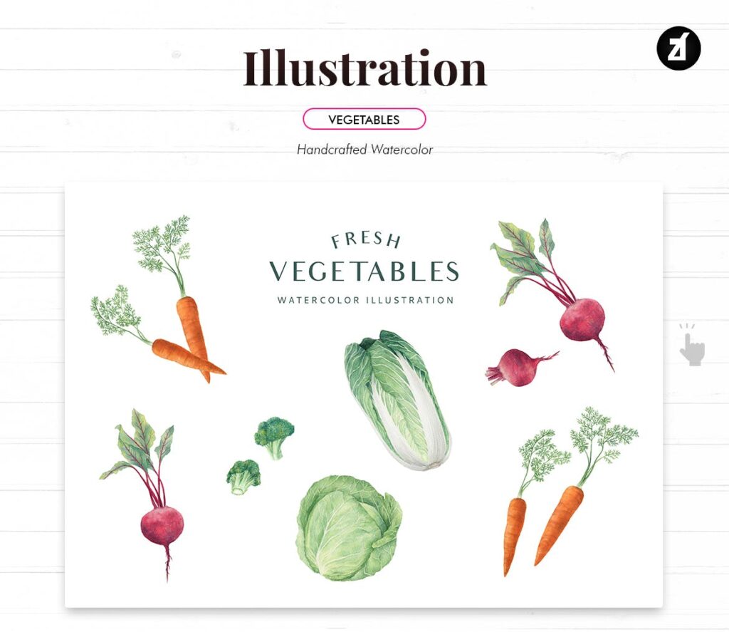 新鲜蔬菜手绘水彩插图装饰图案元素Fresh vegetables handdraw watercolor illustrations插图1