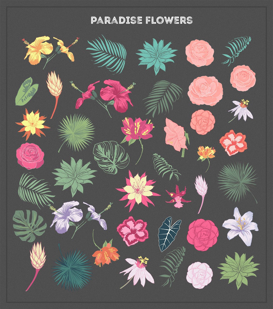 多品种花卉系列手绘插画元素图案纹理Paradise Flowers插图1
