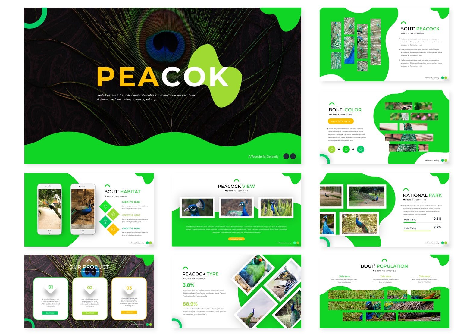 孔雀主题介绍幻灯片模板下载Peacok Keynote Template插图1