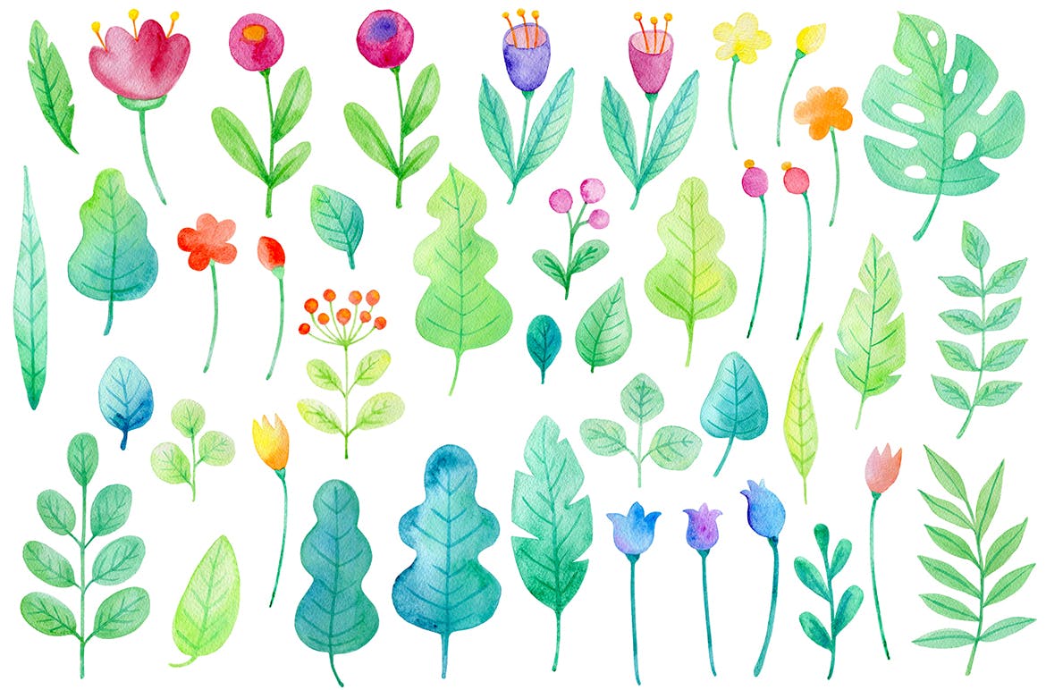 手绘水彩花卉图形元素装饰图案纹理花纹素材Summer Garden Watercolor Design Kit插图1