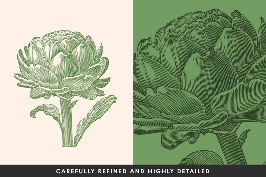 一套19个古董雕刻风格各种蔬菜插图企业品牌装饰图案Vintage Vegetable Illustrations Vol 1插图1