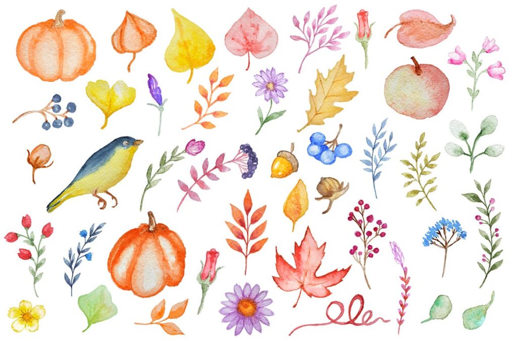 手绘的水彩花卉图形元素装饰图案下载Watercolor Autumn Design Kit插图1