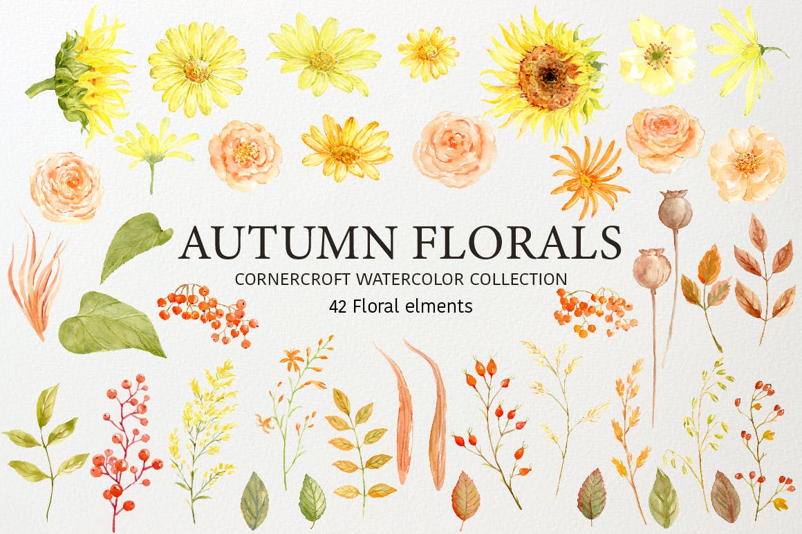 水彩秋季花卉收藏Watercolor Autumn Florals Collection插图1