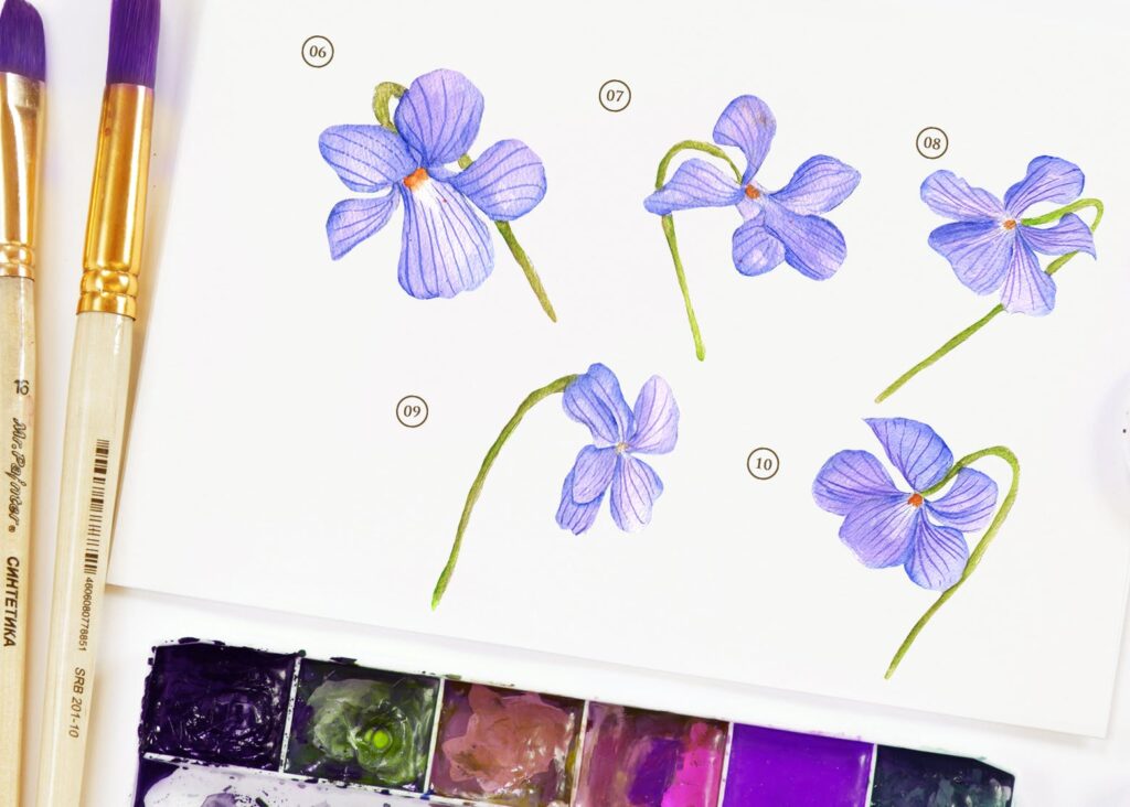 15个紫罗兰花水彩画插图装饰图案15 Watercolor Dog Violet Flower Illustration插图2