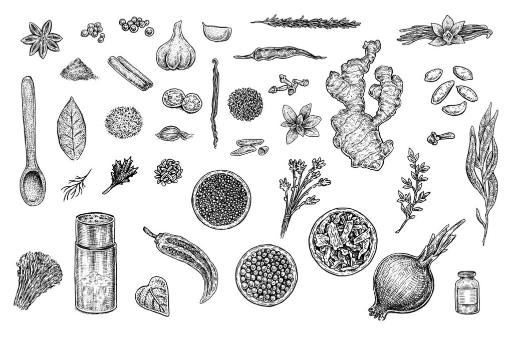 手绘香草香料系列装饰图案Herbs And Spices Set插图2