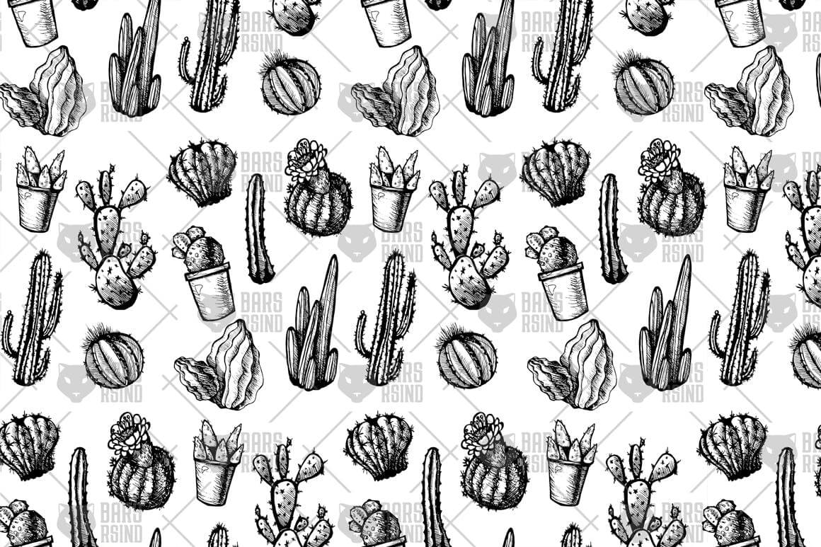 墨西哥仙人掌图案黑白包装图案装饰图案下载Mexican Cactus Patterns插图2