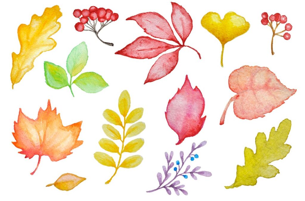 手绘的水彩花卉图形元素装饰图案下载Watercolor Autumn Design Kit插图2