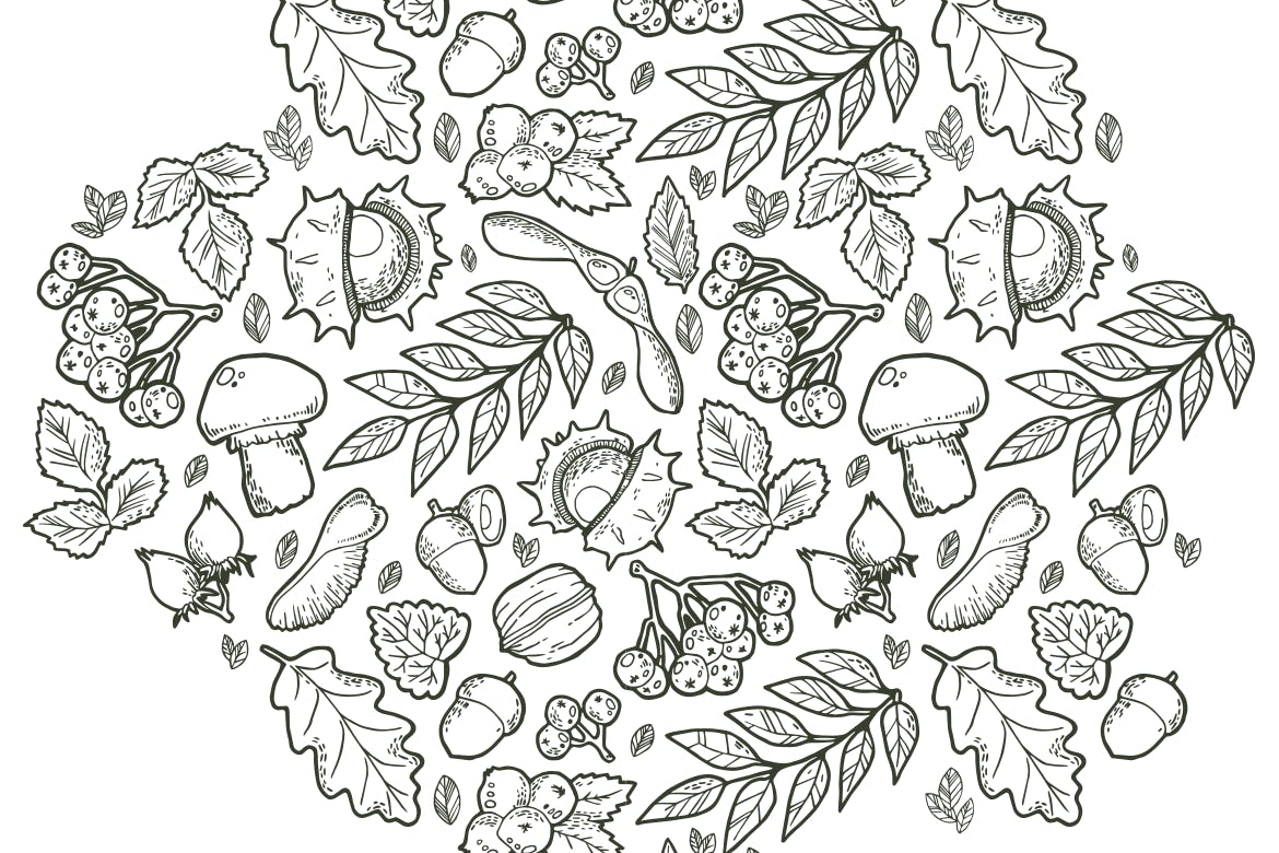 复古植物野生矢量主题装饰图案花纹Autumn Handdraw Pattern插图2