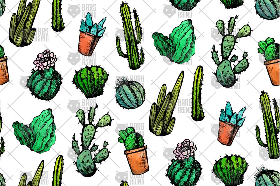 墨西哥仙人掌图案黑白包装图案装饰图案下载Mexican Cactus Patterns插图3