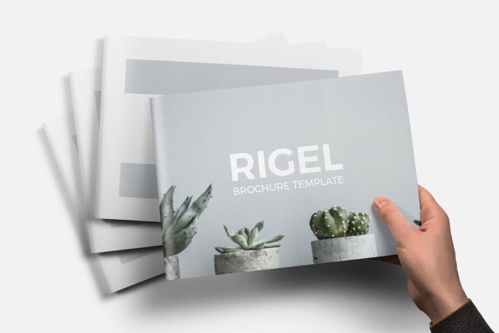 简约绿植居家生活类画册模板Rigel Brochure Template插图3