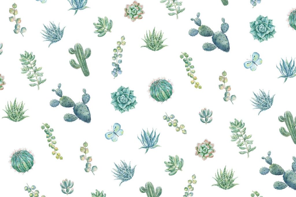 华丽多肉主题元素图案手绘水彩图形Savory Succulents Seamless Patterns插图3