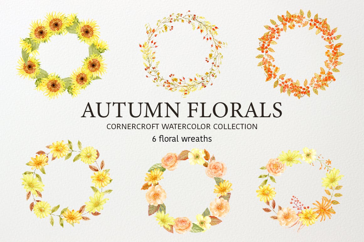 水彩秋季花卉收藏Watercolor Autumn Florals Collection插图3
