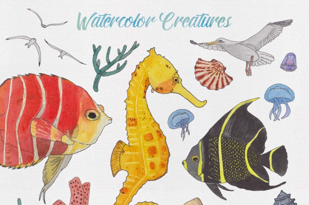 海洋生物系列主题创意图案装饰图案Watercolor Creatures vol 3插图3