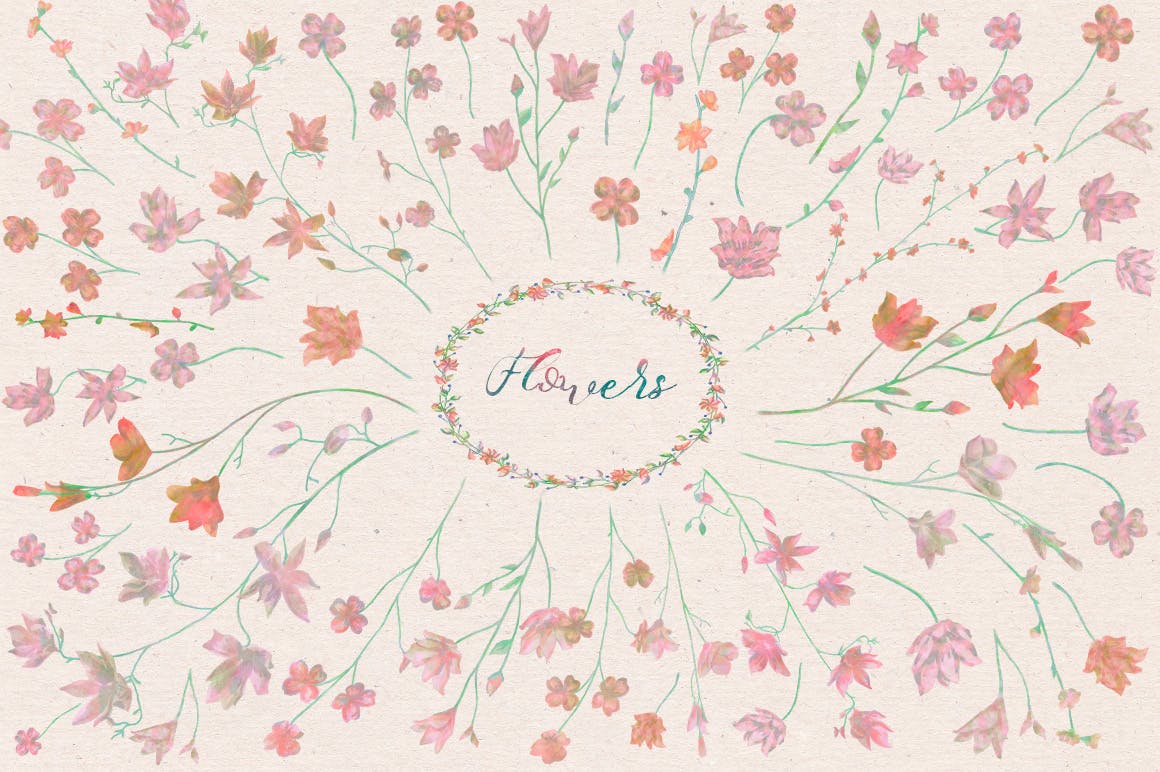 150个花卉树枝月桂服装布艺类装饰150 Watercolor Florals Bonus插图4