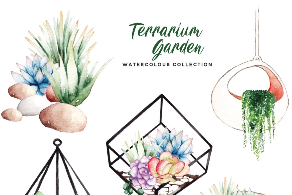 精致手绘元素企业品牌服装装饰图案花纹Succulent Terrarium Watercolor插图4