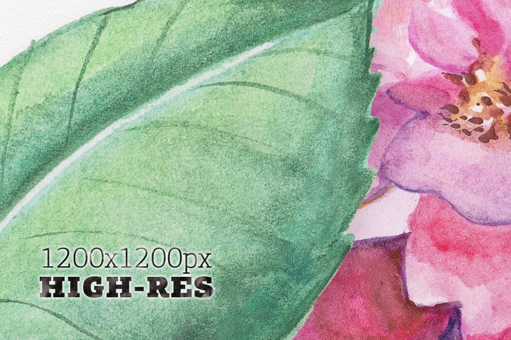 98个水彩元素花卉装饰图案花纹Watercolor DIY Pack插图4
