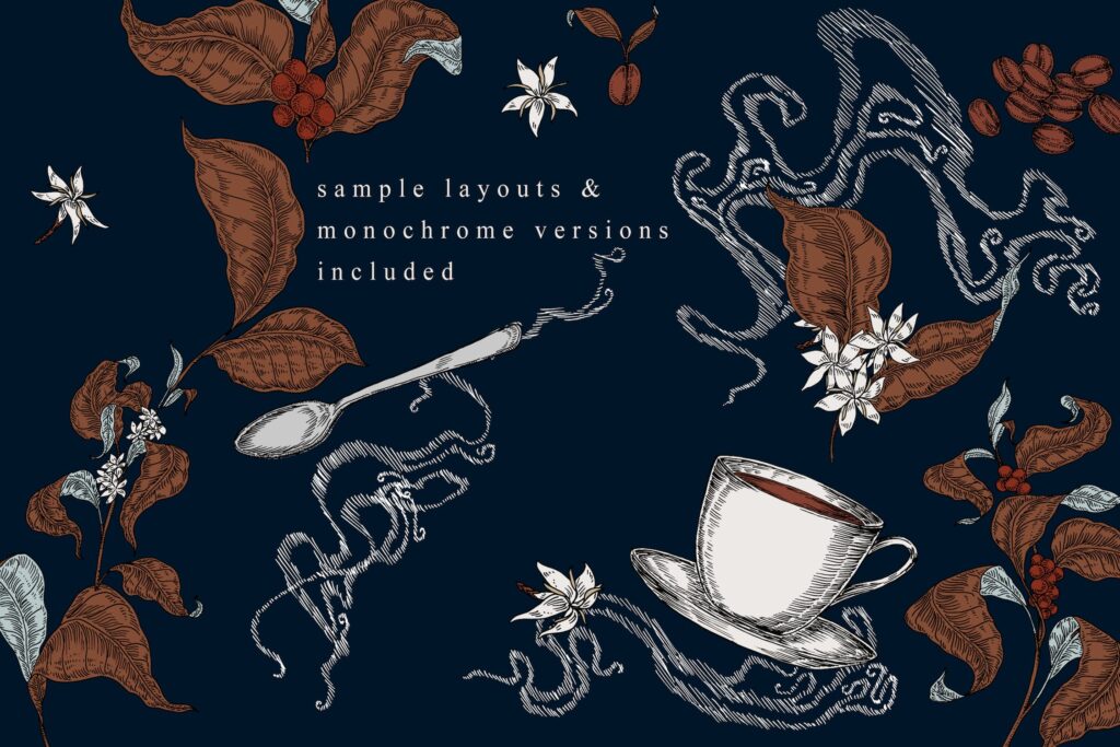 咖啡植物主题创意插图素材装饰图案Coffee Botanical Art Collection插图4