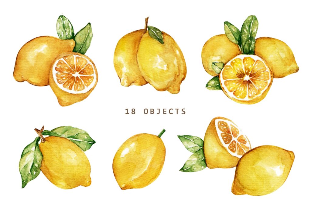精致柠檬水彩集合品牌装饰图案Lemonade Watercolor Set插图4
