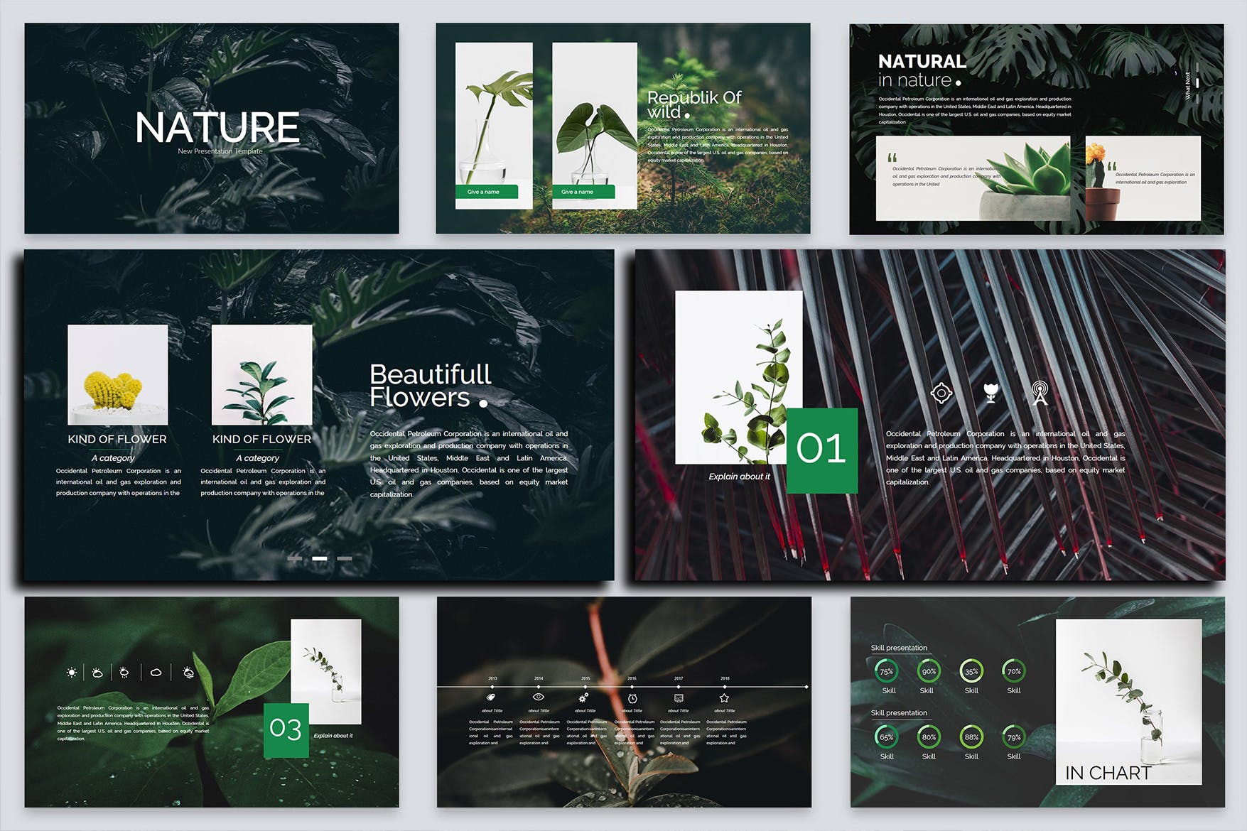 绿色环保自然主题模板幻灯片模板Nature Keynote Template Ydmegy插图5