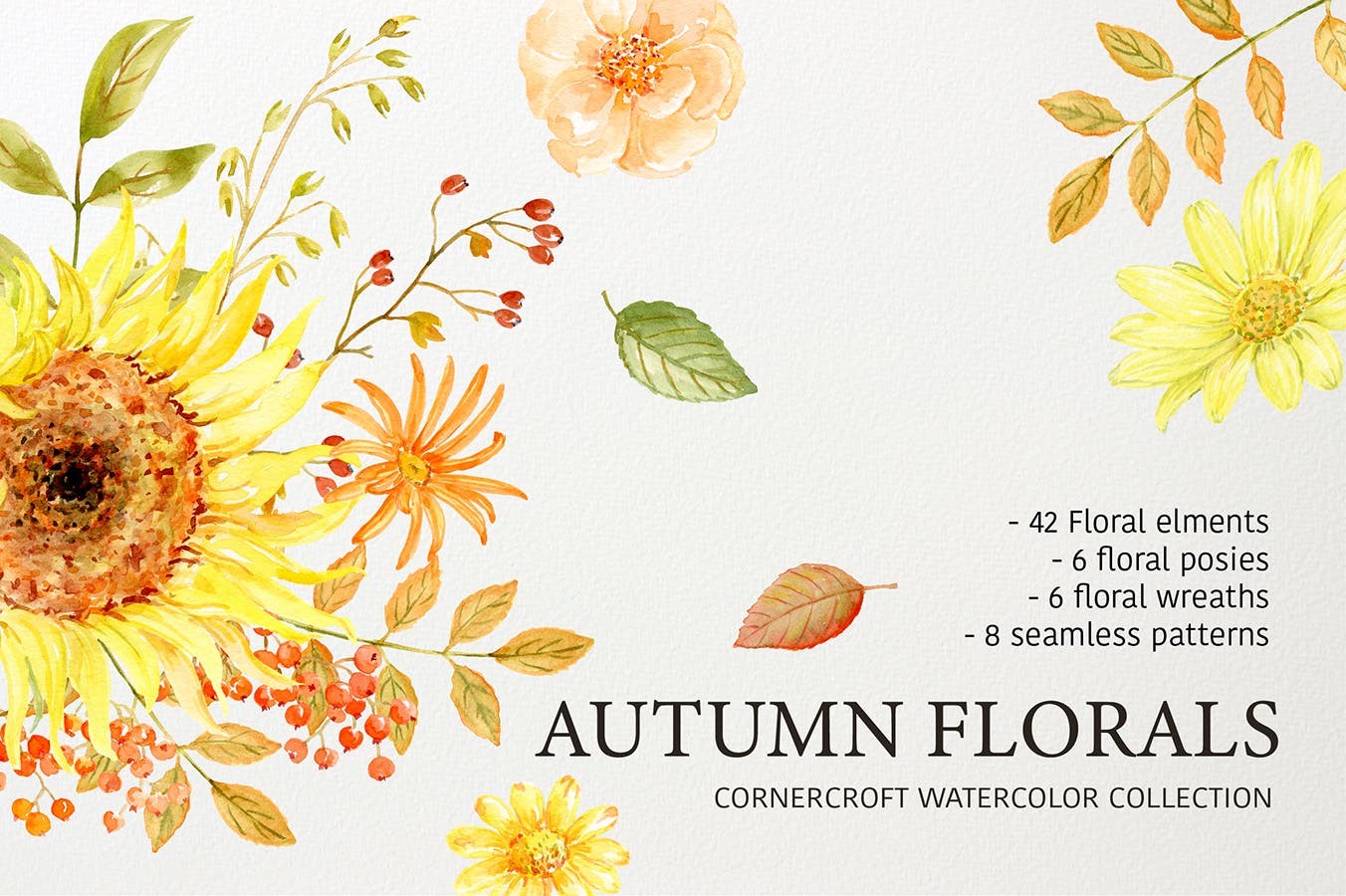 水彩秋季花卉收藏Watercolor Autumn Florals Collection插图7