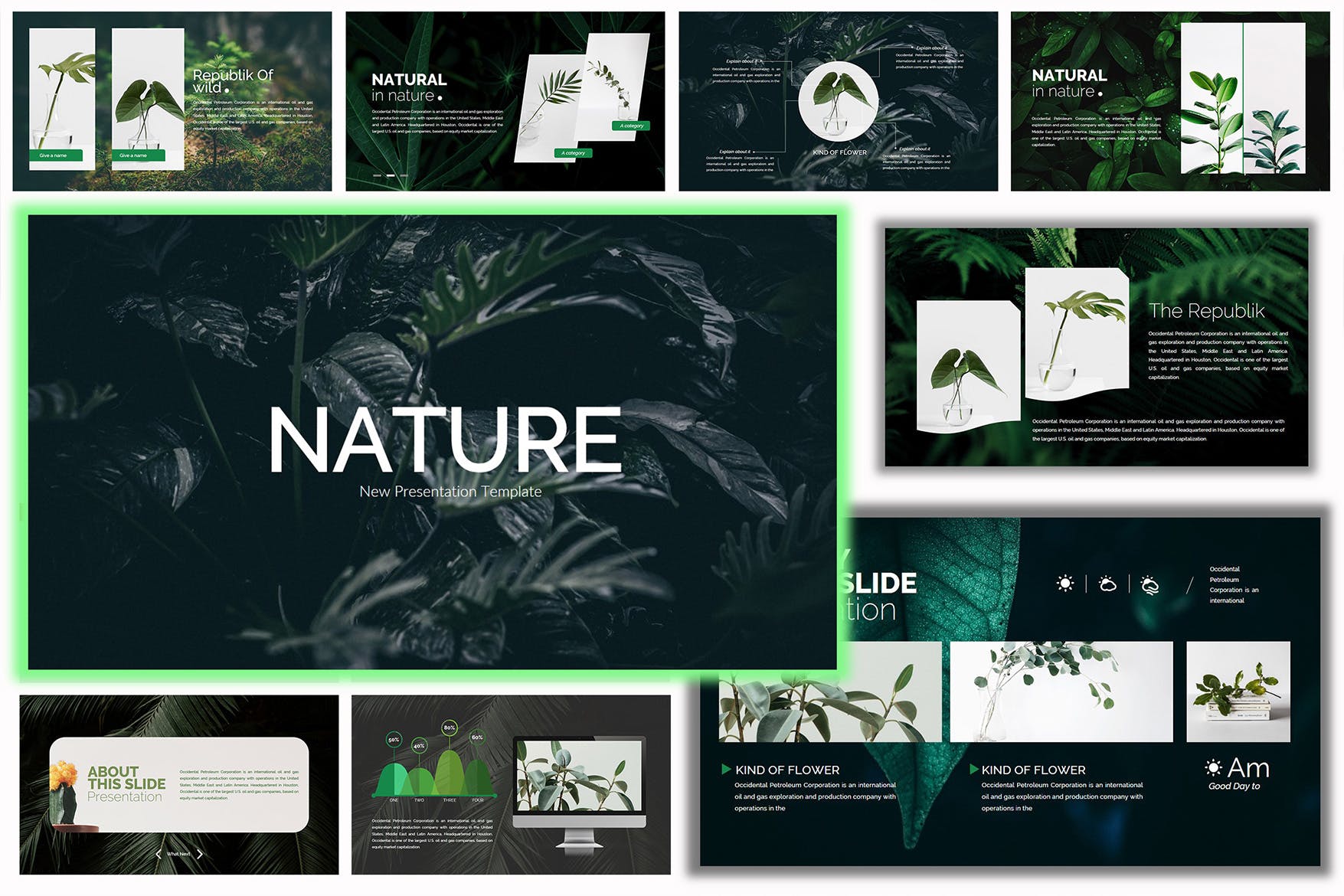 绿色环保自然主题模板幻灯片模板Nature Keynote Template Ydmegy插图6