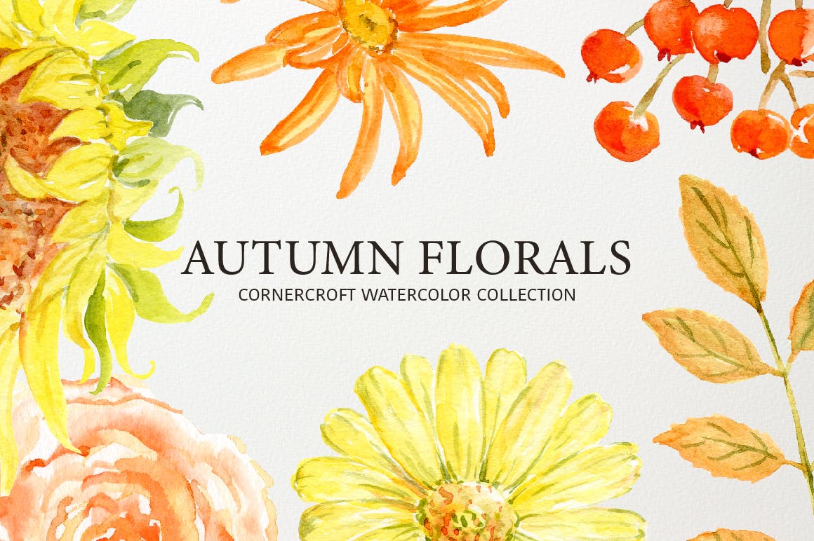 水彩秋季花卉收藏Watercolor Autumn Florals Collection插图4