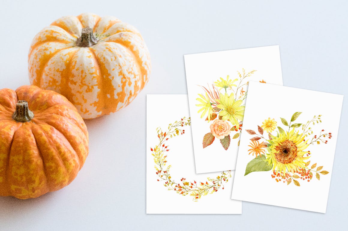 水彩秋季花卉收藏Watercolor Autumn Florals Collection插图5