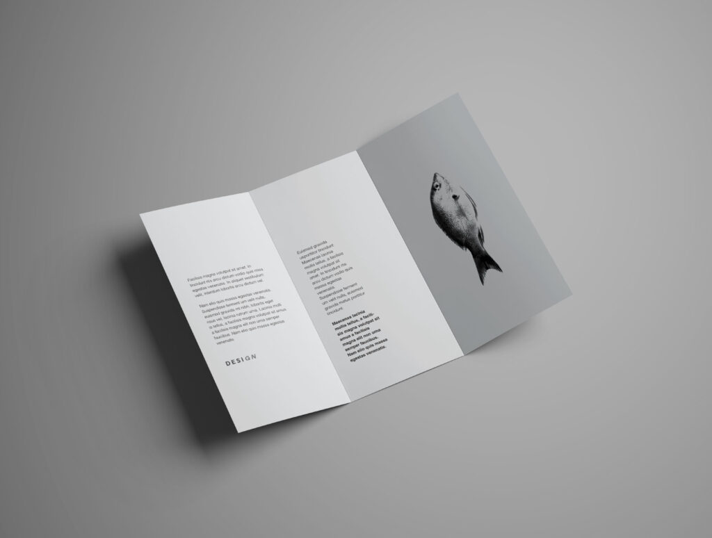 标准尺寸的折叠A4高级三折手册样机 Advanced Trifold Brochure Mockup – 7 Angles插图8