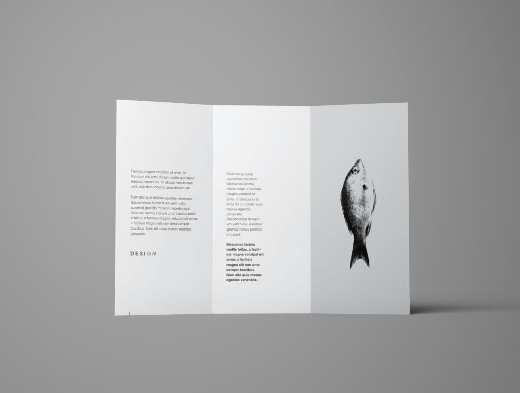 标准尺寸的折叠A4高级三折手册样机 Advanced Trifold Brochure Mockup – 7 Angles插图4