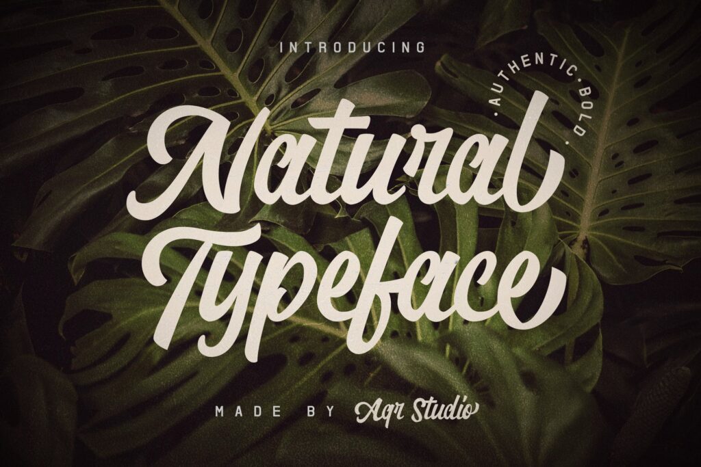英文标志字体组合Natural Typeface