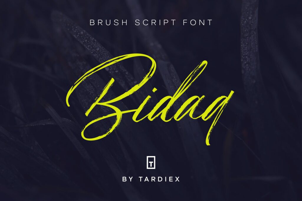 干介质笔刷字体/产品包装标题英文字体下载Bidaq Brush