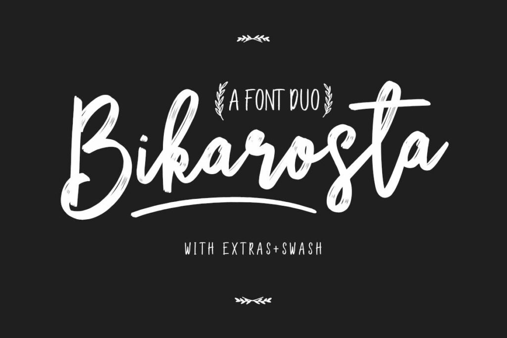 品牌包装手写毛笔字体下载Bikarosta Typeface