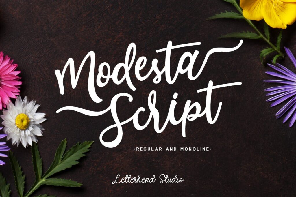 柔美女性字体品牌包装字体下载Modesta Script Font duo