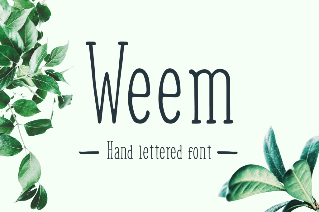 简约品牌包装英文衬线字体下载Weem Hand Lettered Font插图