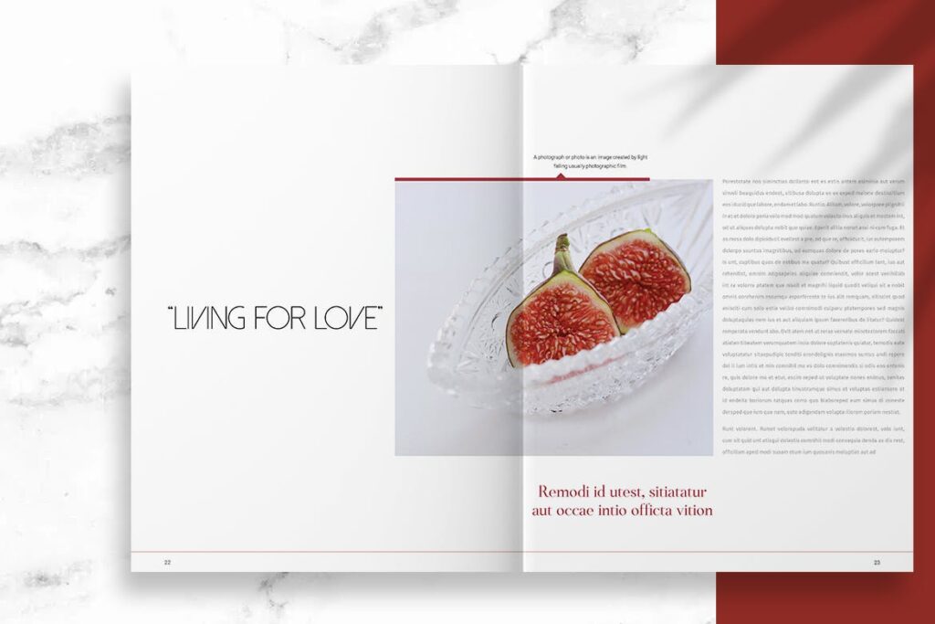 企业极简设计宣传册杂志画册模板素材Minimal Design BrochureEC 2N4UT插图11